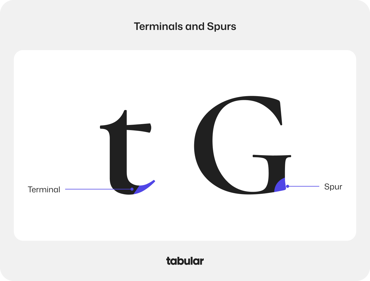 Typography concepts "terminal" and "spur".